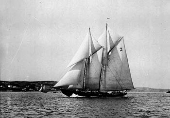 La renaissance du Bluenose