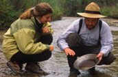 À la recherche des précieuses pépites. / Photo: Parcs Canada.