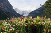 Lac Louise par Jean Rivard.