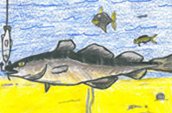 'Hooked for Life' by Dustin, age 10, Cook's Harbour, NL