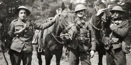 Bêtes et fardeaux : Les chevaux étaient un moyen de transport vital pendant la Première Guerre. Malheureusement, des dizaines de milliers de chevaux furent tués ou blessés en raison des conditions éprouvantes qui régnaient sur le front.