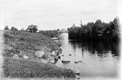 1902: 'Rideau Queen' canal Rideau / Photo: attribuée à James Ballantyne, Bibliothèque et Archives Canada PA-133407.