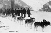 1898: Haywood & Cates - attelage de chiens. / Photo: G.G. Murdock, Bibliothèque et Archives Canada PA-022515.