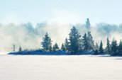 Furey Island sur la rivière Winnipeg. Photo credit: Nancy Bremner